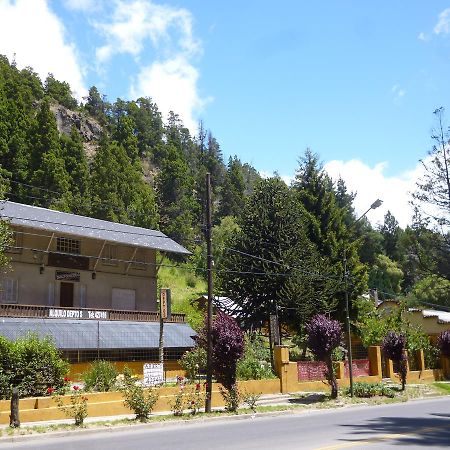 Sacromonte Apart San Martin de los Andes Ngoại thất bức ảnh
