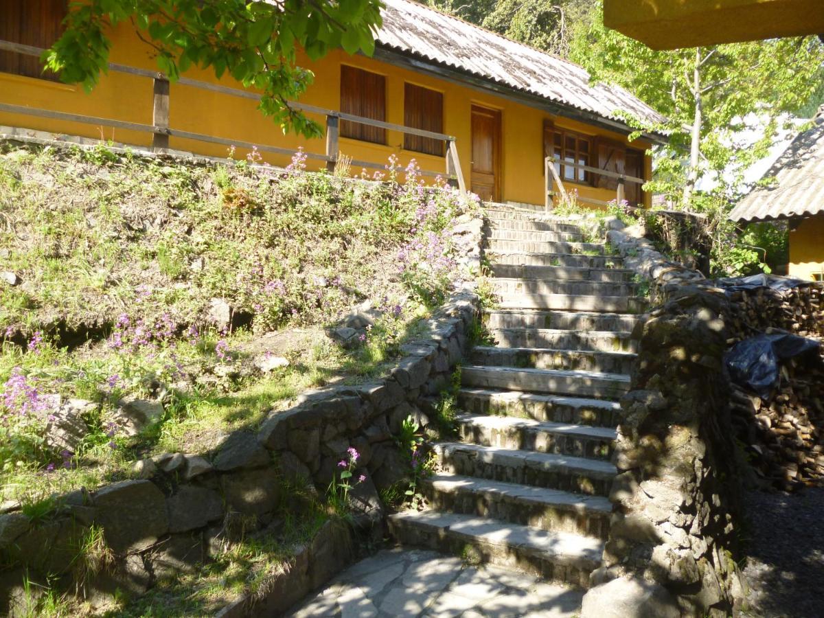 Sacromonte Apart San Martin de los Andes Ngoại thất bức ảnh