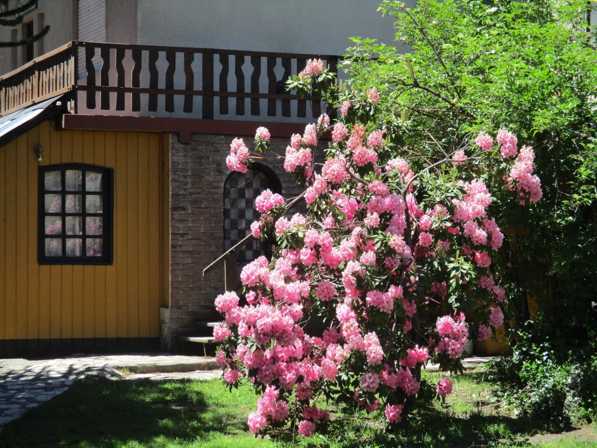 Sacromonte Apart San Martin de los Andes Ngoại thất bức ảnh