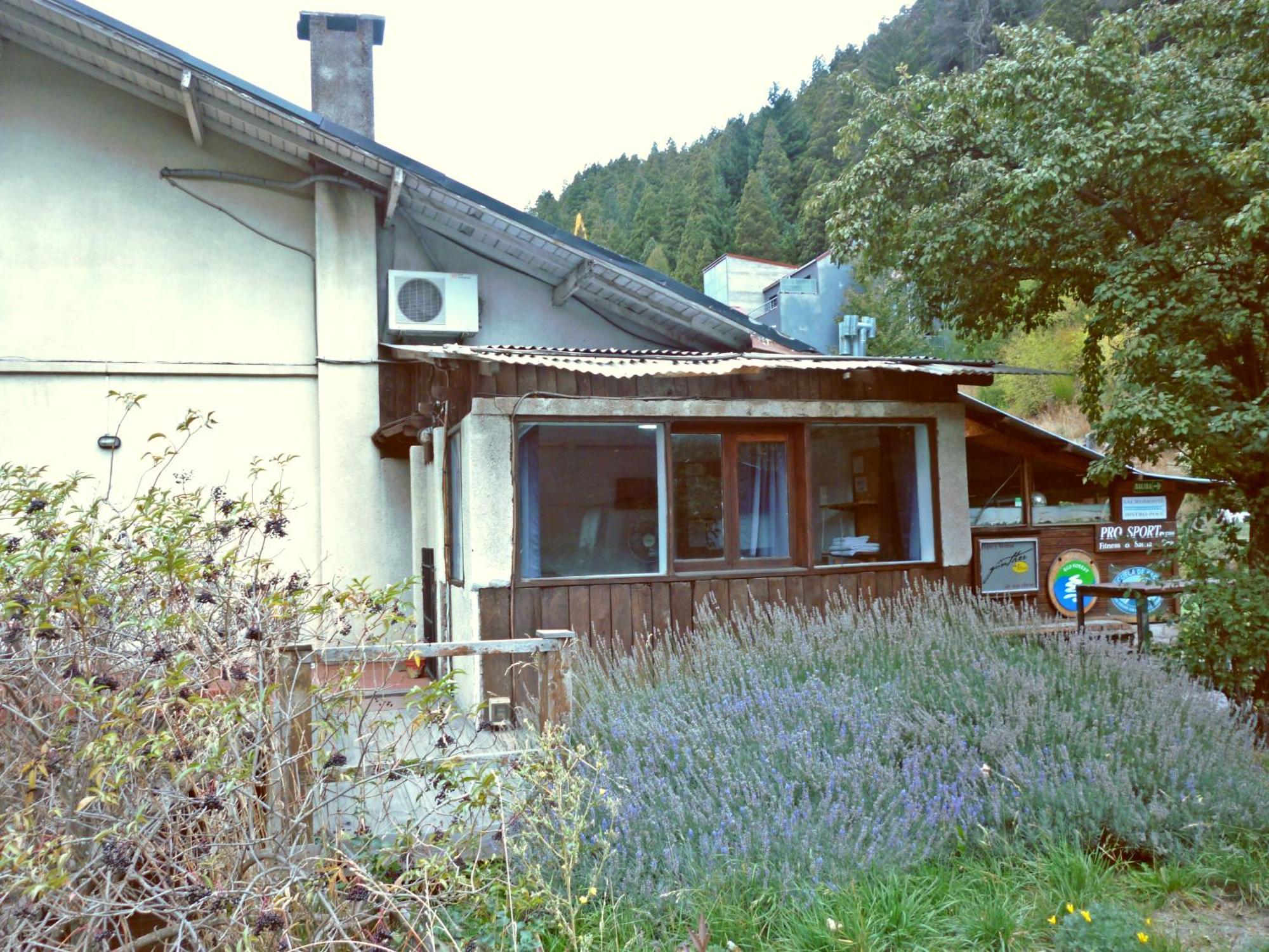 Sacromonte Apart San Martin de los Andes Ngoại thất bức ảnh