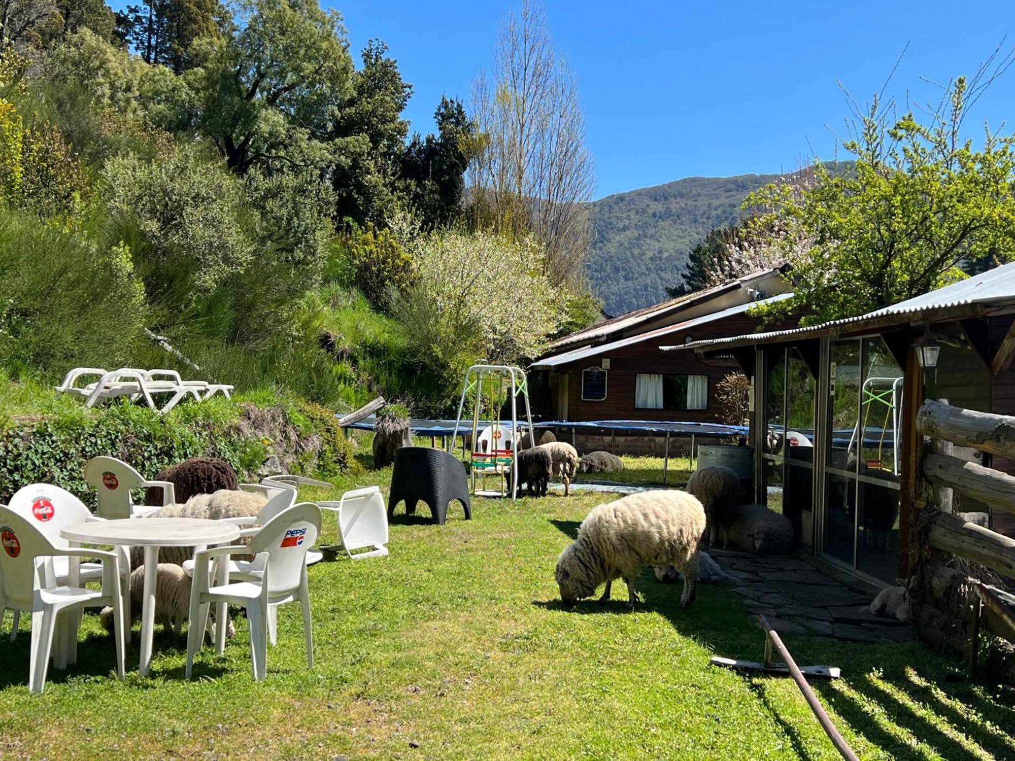 Sacromonte Apart San Martin de los Andes Ngoại thất bức ảnh